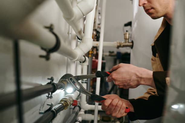 Best Local Plumber Services  in Wellsville, OH